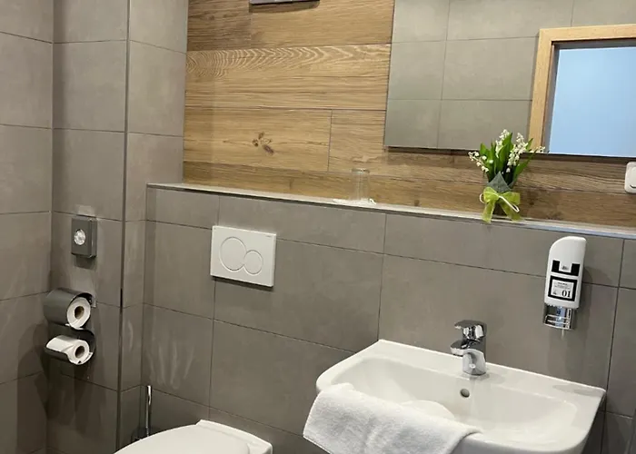 Hotel Chiemseepanorama 3*